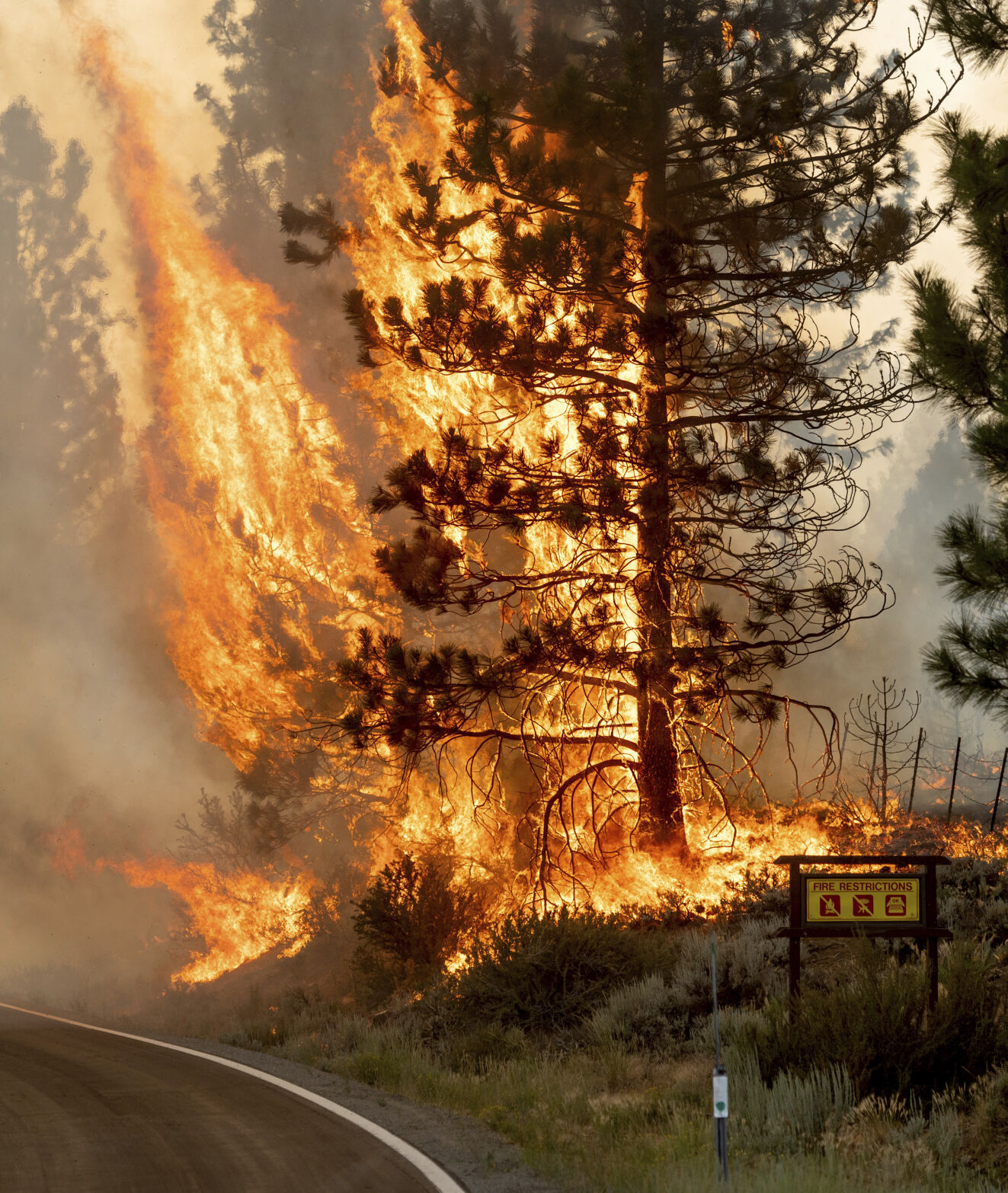 California Wildfires